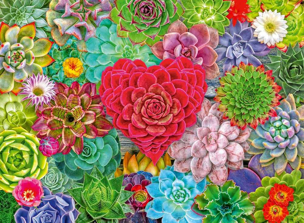 Ravensburger Dėlionė 500 vnt. - Sukulentas aprašymas - Prekės nuotrauka