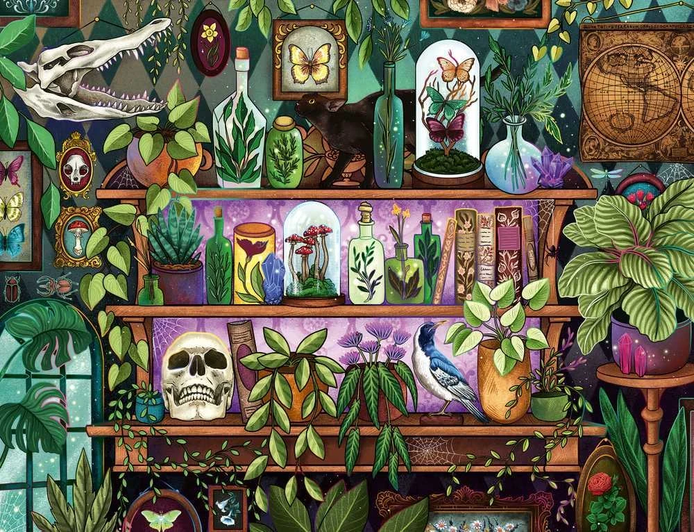 Ravensburger Dėlionė 2000 vnt. - Raganos lentyna