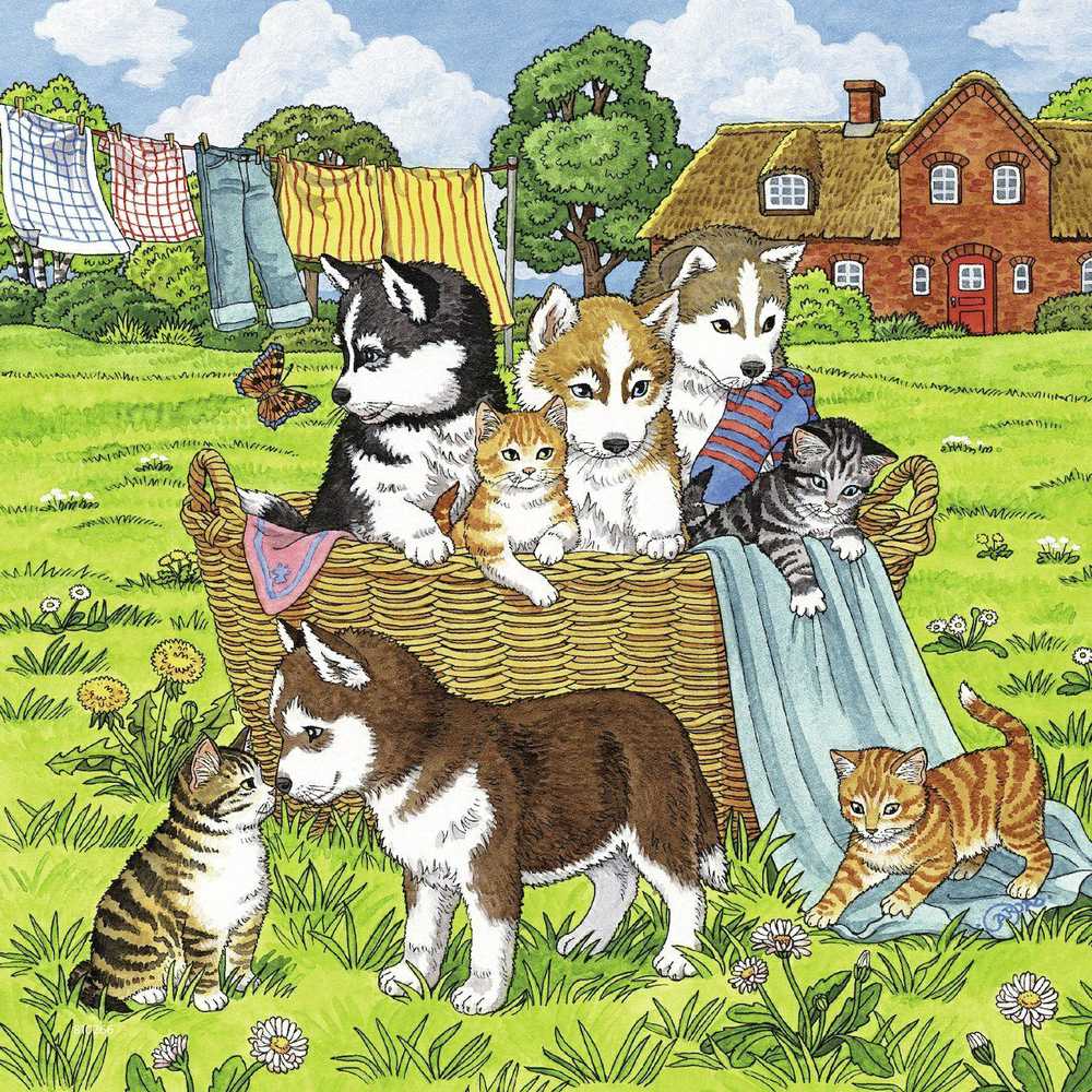 Ravensburger Dėlionė 3x49 vnt. - Mieli šunys ir katės