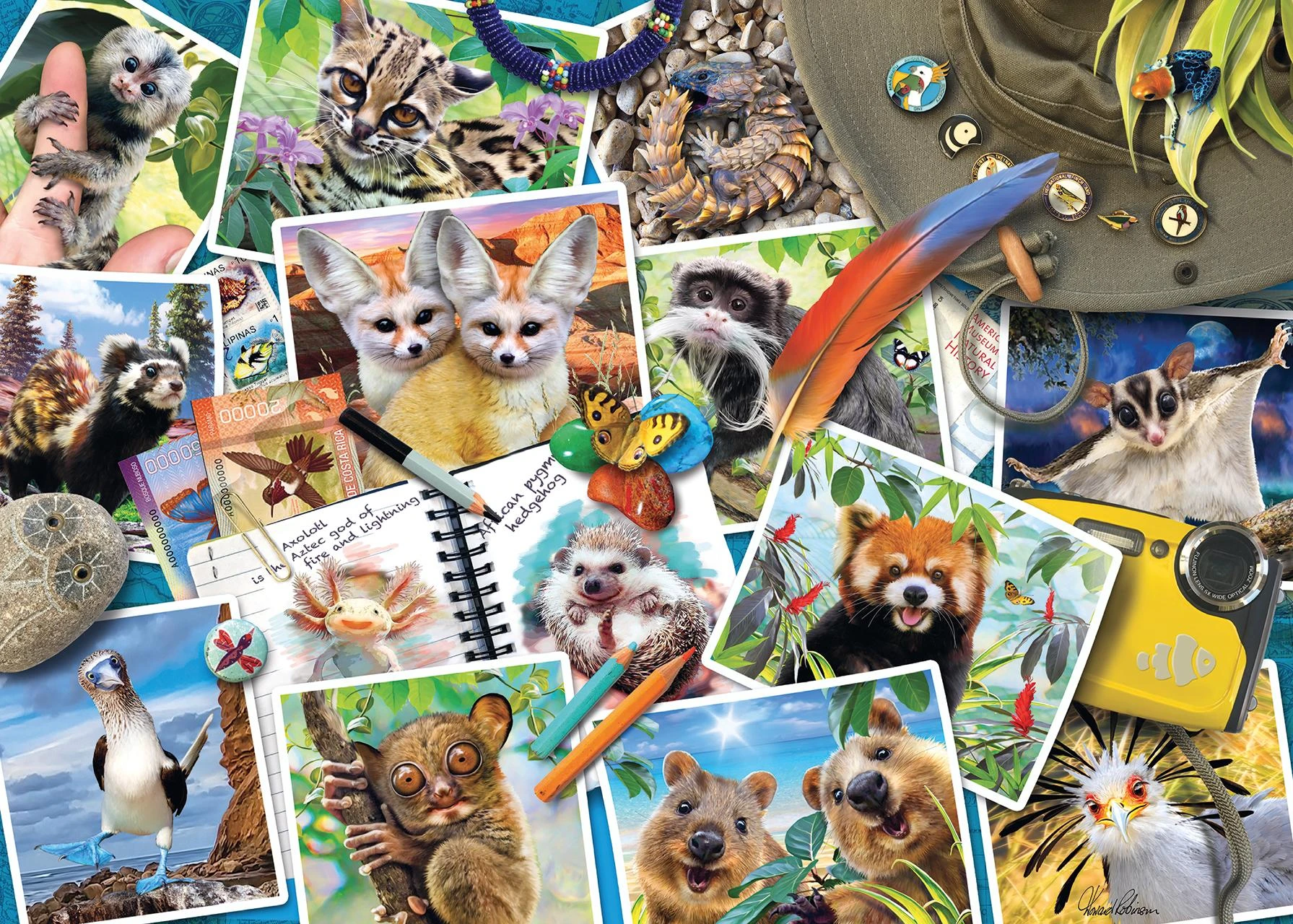 Ravensburger Dėlionė 1000 vnt. - Keliautojo nuotraukų albumas