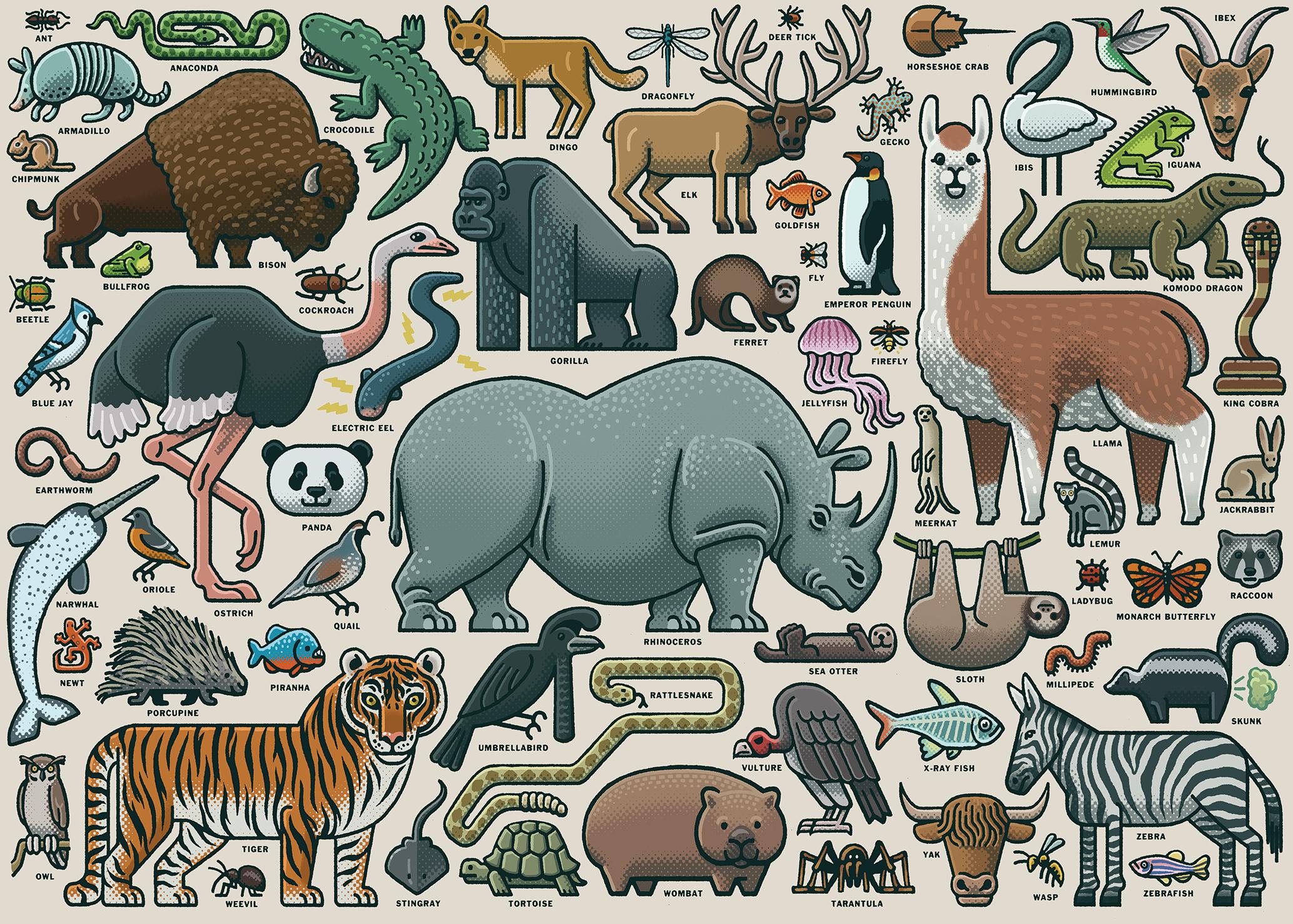 Ravensburger 1000 Puzzle Dėlionė: Your Wild Animal