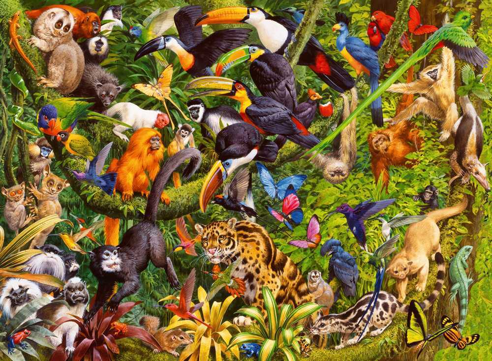 Ravensburger Dėlionė 200 vnt. - Atogrąžų miškai aprašymas - Prekės nuotrauka