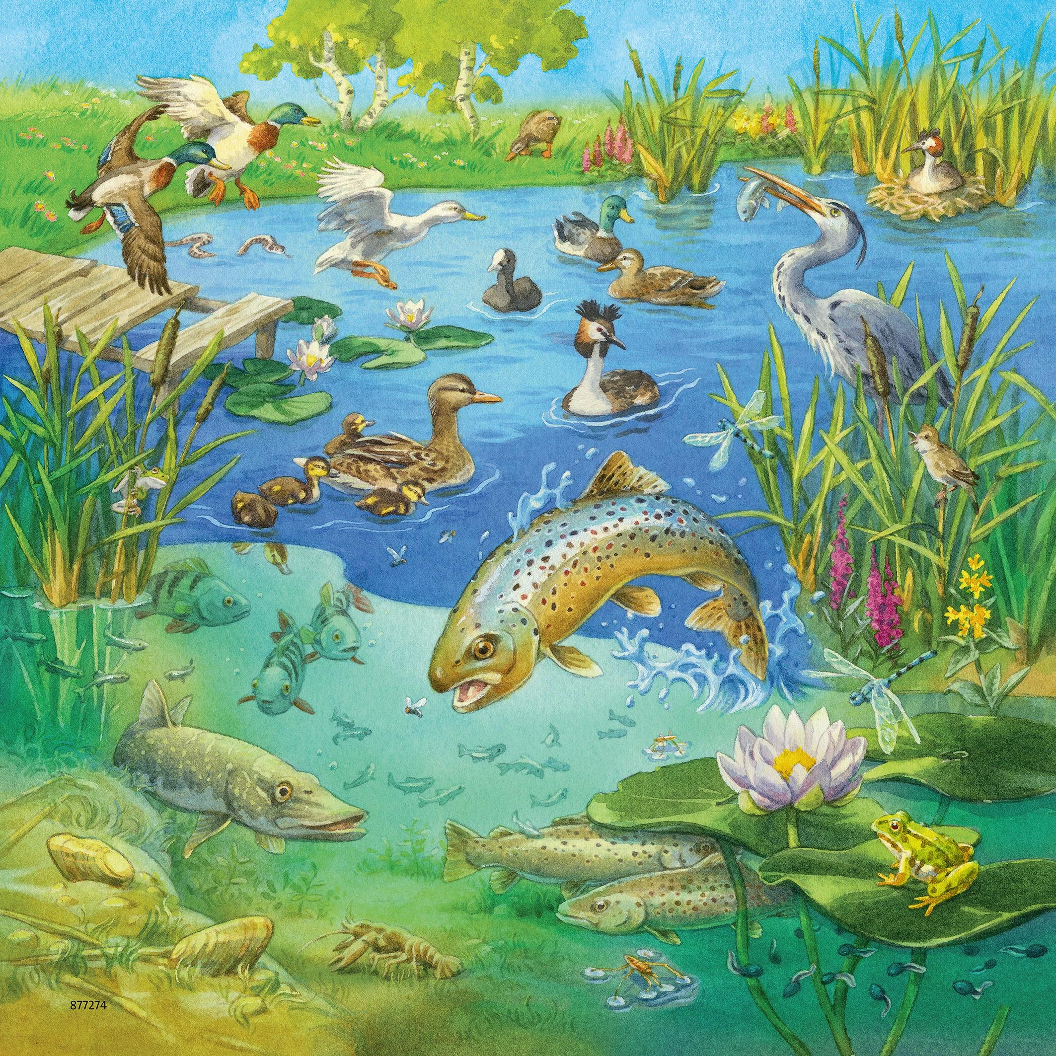 Ravensburger Dėlionė 3x49 vnt. - Gyvūnų gyvenamosios vietos