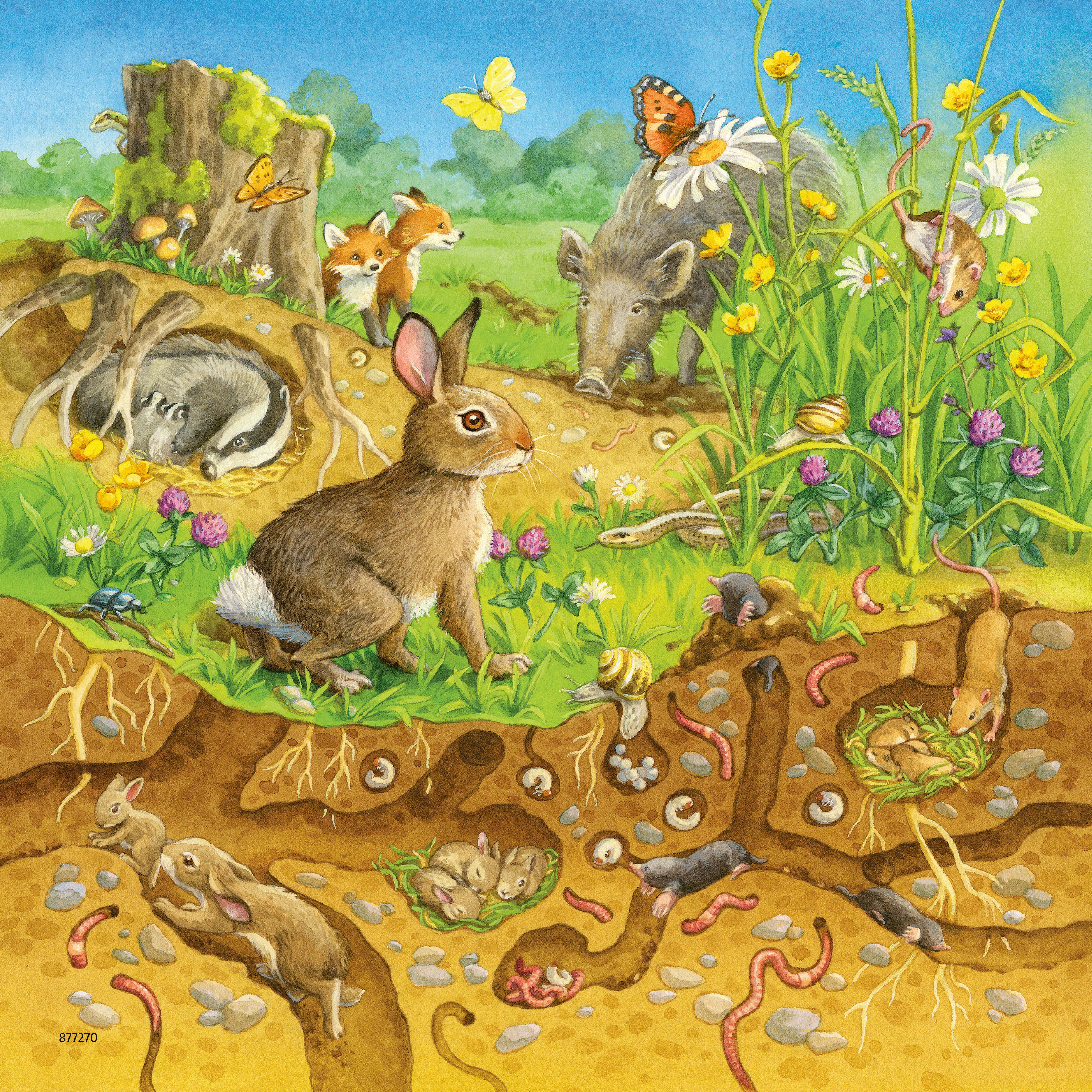 Ravensburger Dėlionė 3x49 vnt. - Gyvūnų gyvenamosios vietos