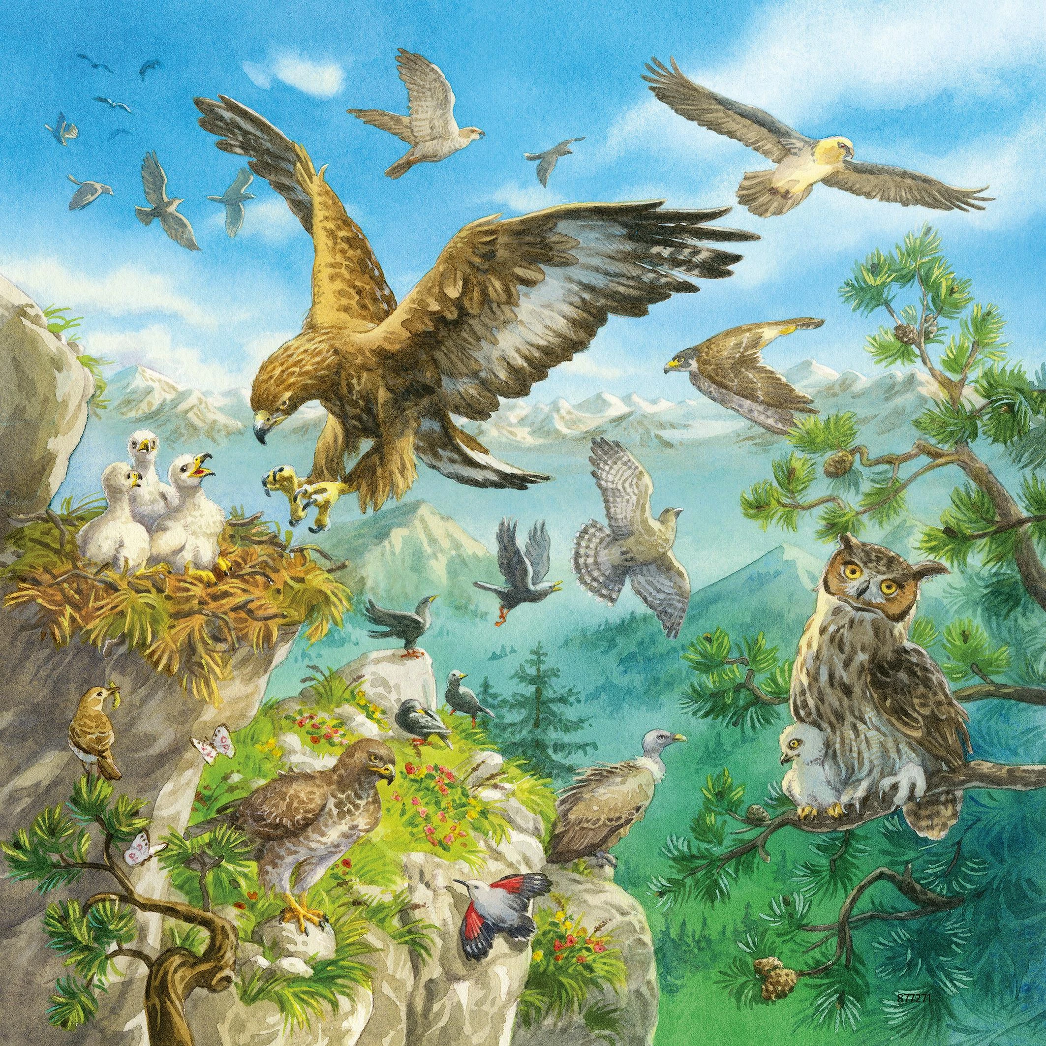 Ravensburger Dėlionė 3x49 vnt. - Gyvūnų gyvenamosios vietos