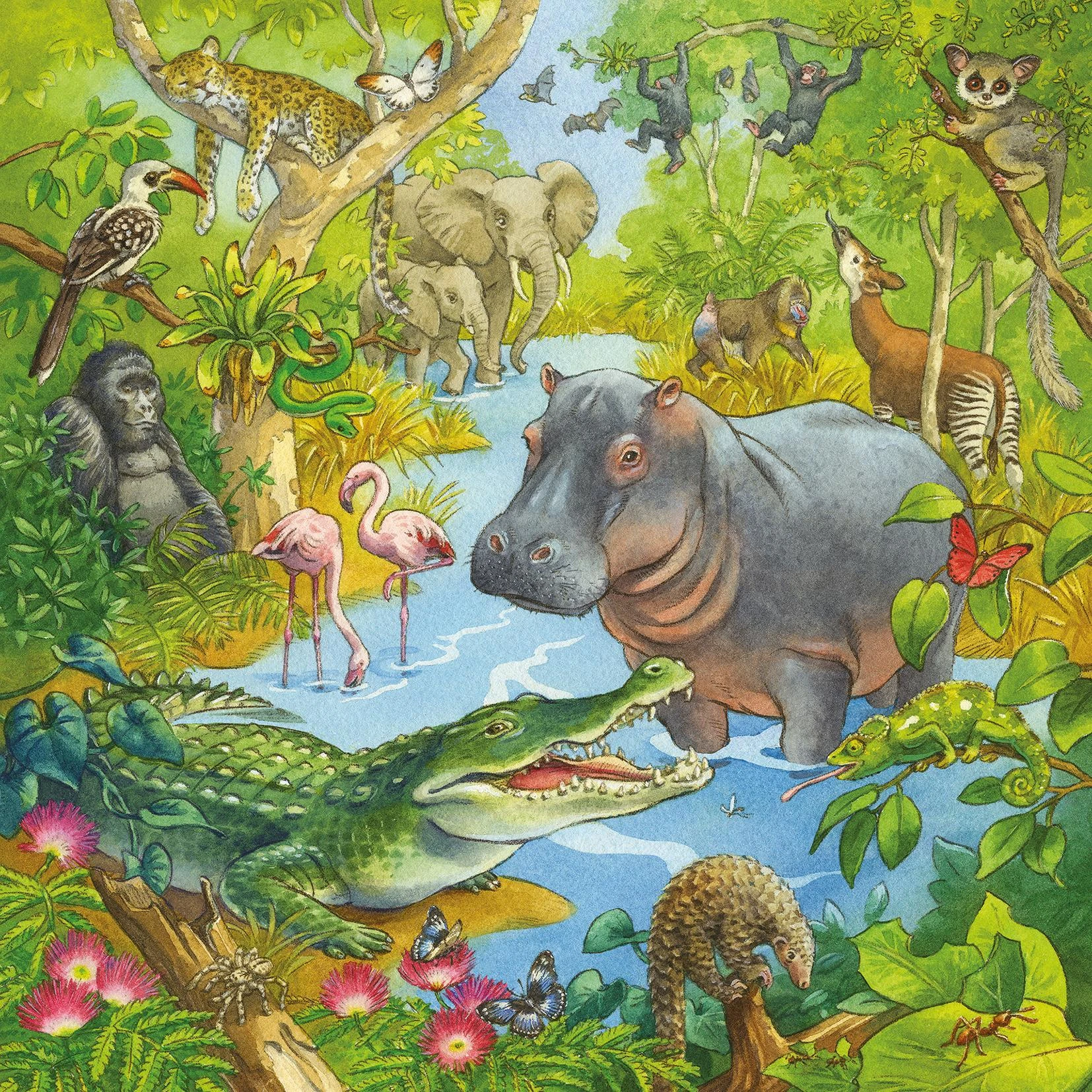 Ravensburger Dėlionė 3x49 vnt. - Džiunglių linksmybės