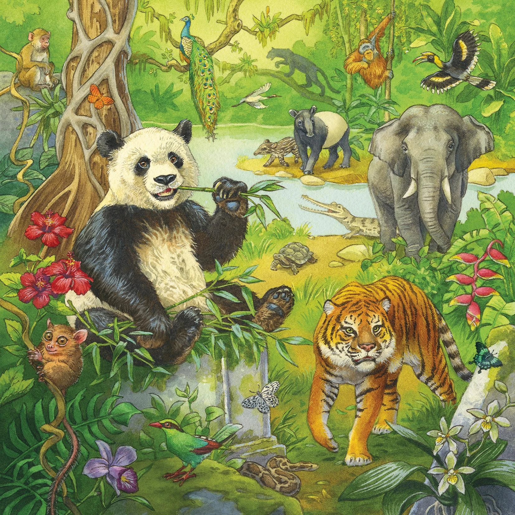 Ravensburger Dėlionė 3x49 vnt. - Džiunglių linksmybės