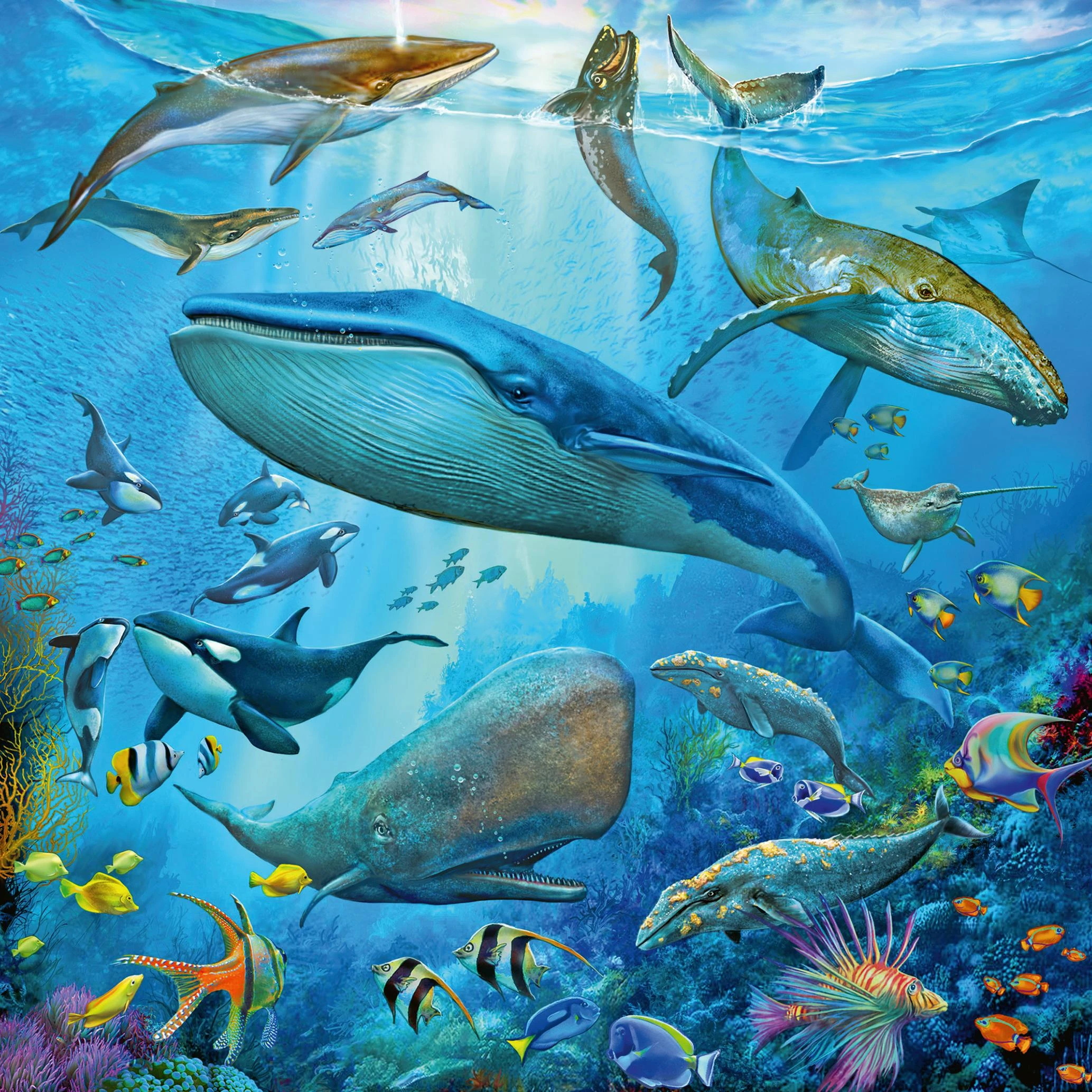 Ravensburger Dėlionė 3x49 vnt. - Povandeninis gyvenimas