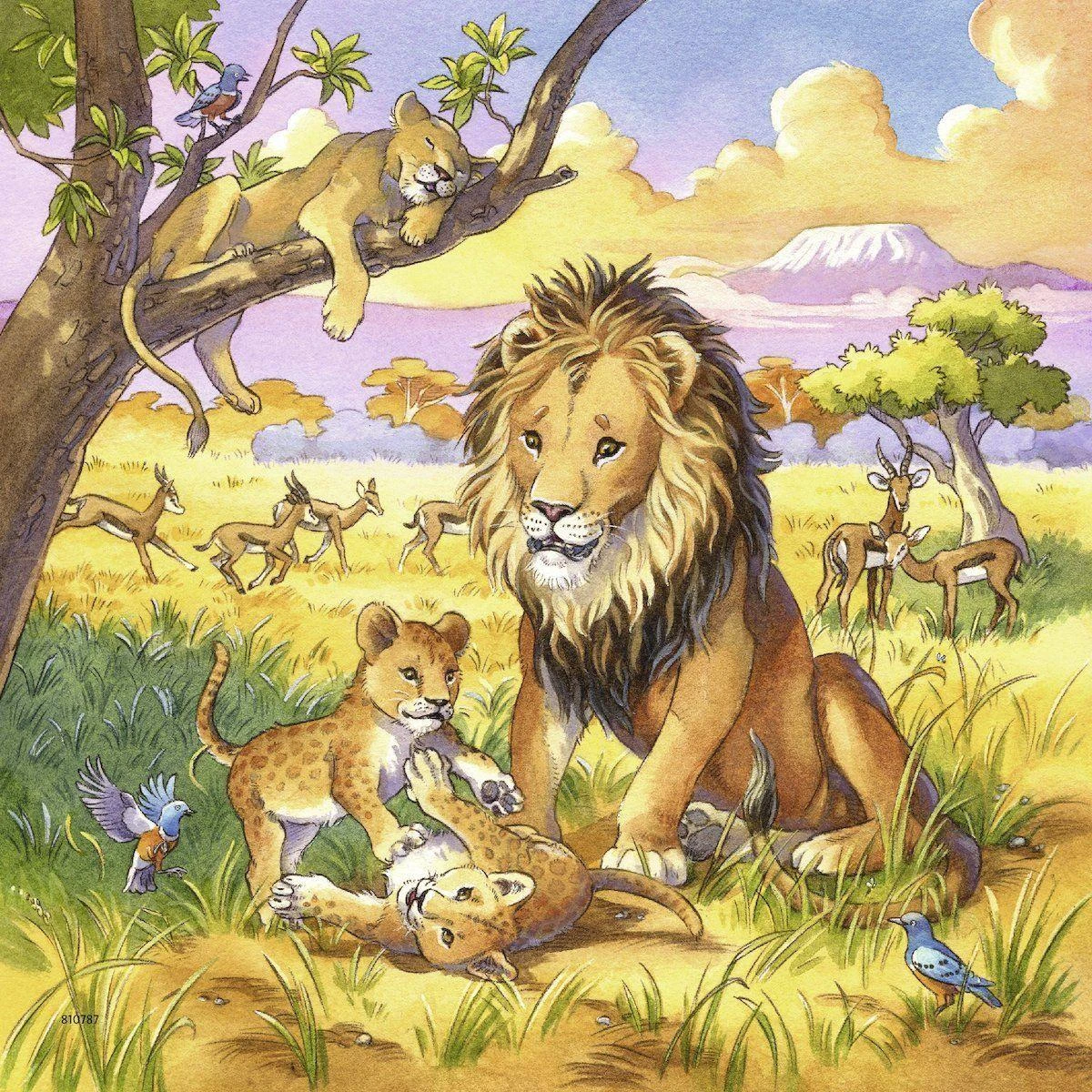 Puzzle 3x49 Wild Animals - RAVENSBURGER dėlionė