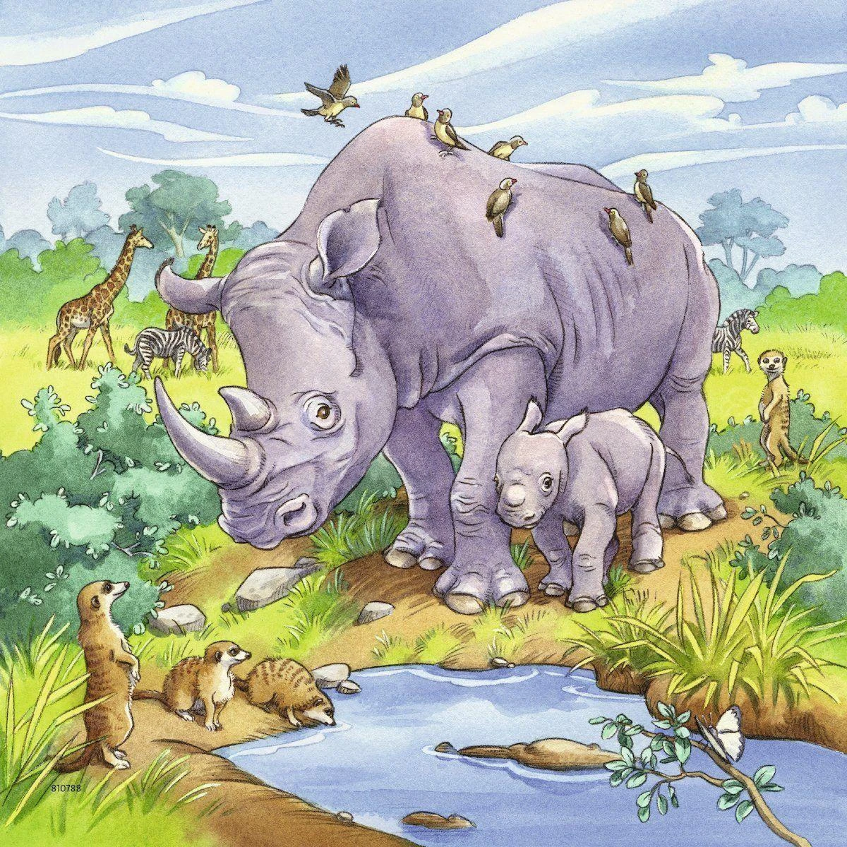 Puzzle 3x49 Wild Animals - RAVENSBURGER dėlionė