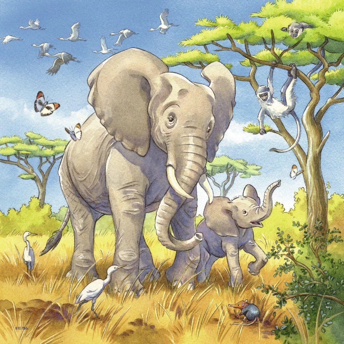 Puzzle 3x49 Wild Animals - RAVENSBURGER dėlionė