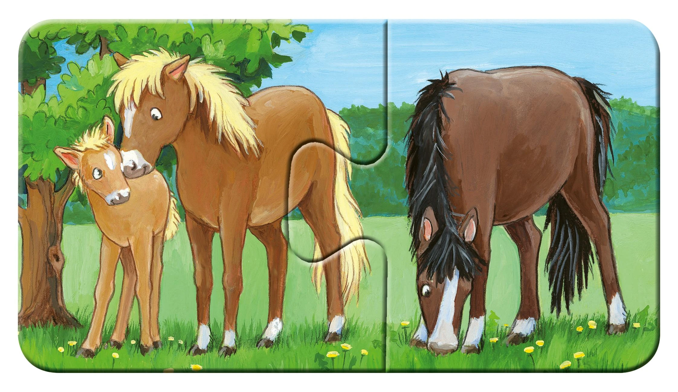 Ravensburger Dėlionė 9x2 vnt. - Mano pirmoji dėlionė