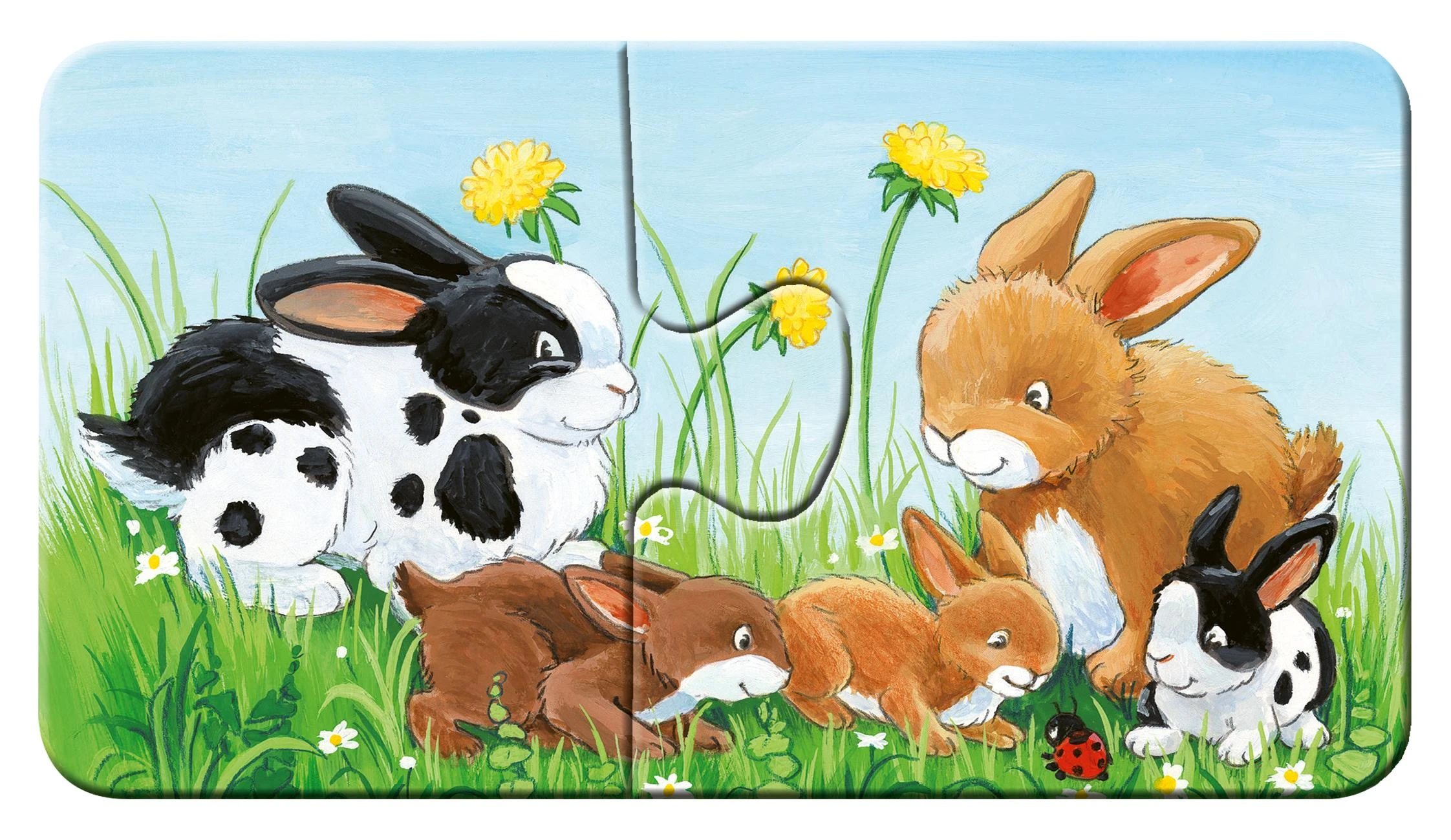 Ravensburger Dėlionė 9x2 vnt. - Mano pirmoji dėlionė