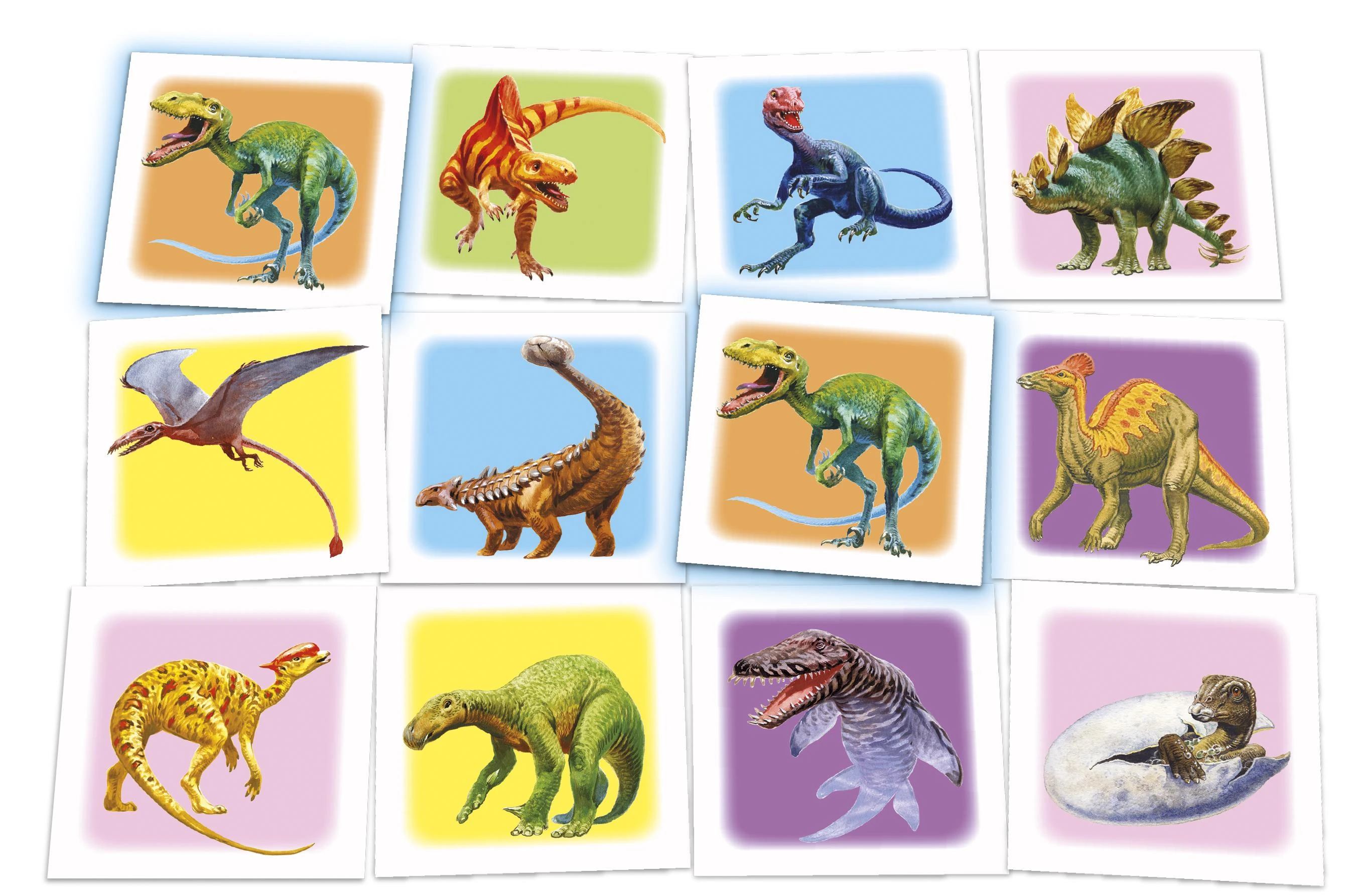 Tactic Taktinis stalo žaidimas „Memo Dinosaurs“.