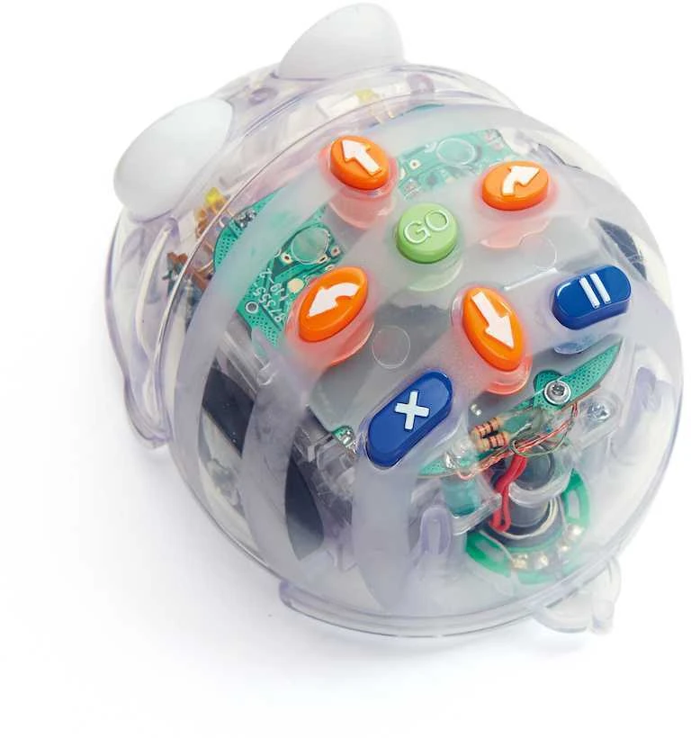 TTS „Bee-Bot“ ir „Mėlyna-Bot“ programuojamų robotų klasės rinkinys