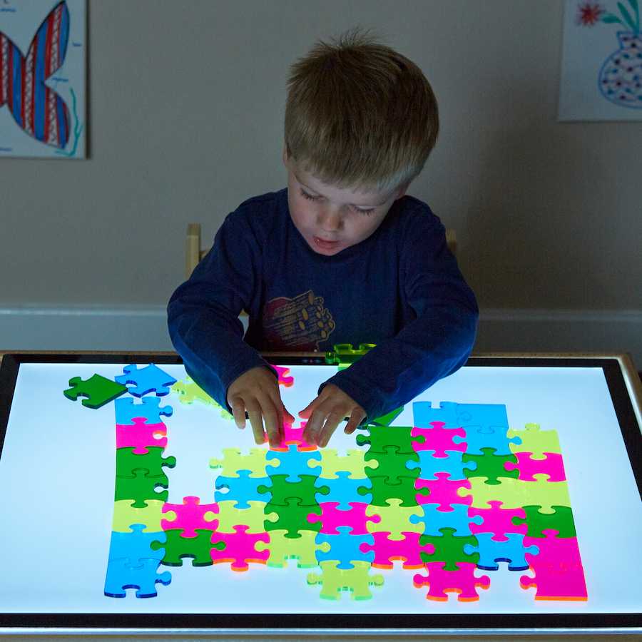 Dėlionė TTS Transparent Puzzle 56 pc