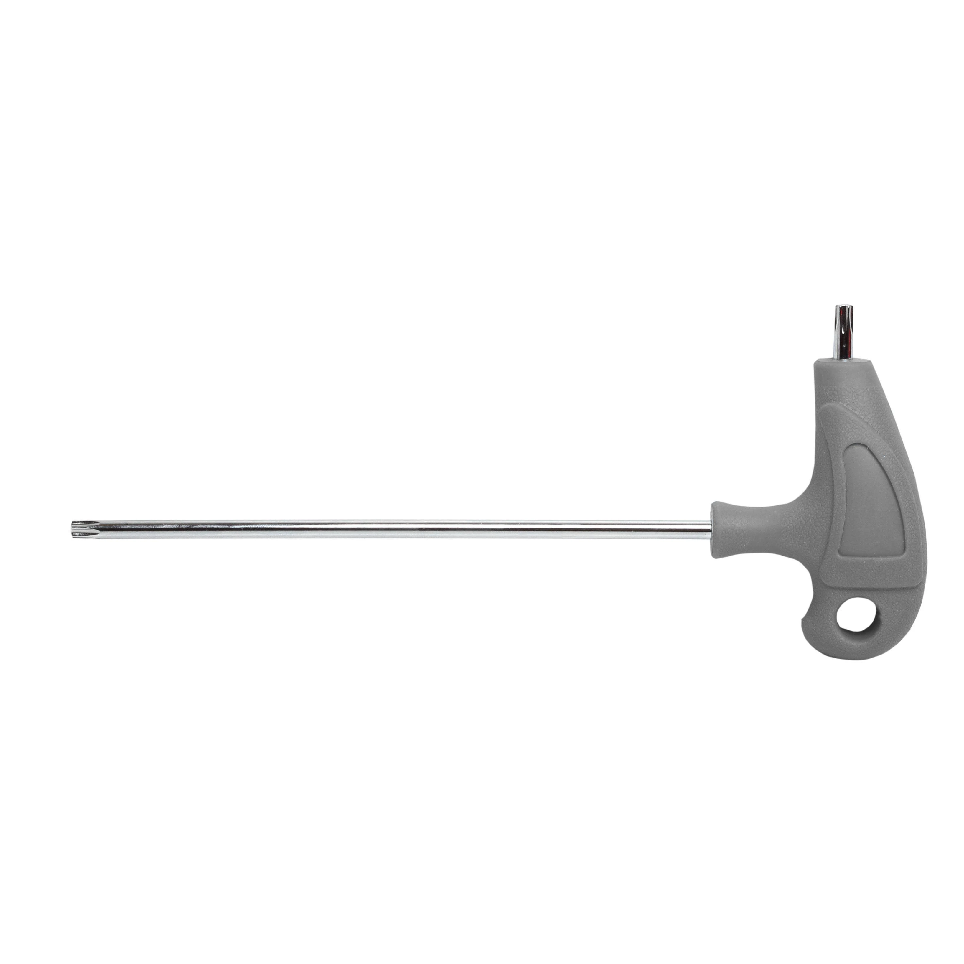 Klucz Torx T40 raktas, plastikine rankena, S2 Proline