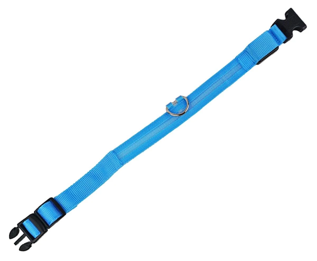 Home Appliances Šuns antkaklis su LED apšvietimu, mėlynas, 34-42 cm