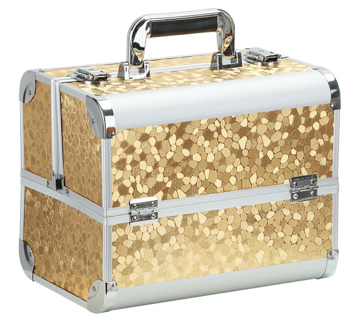 Aptel Kosmetikos priemonių lagaminas Professional Style XL Gold