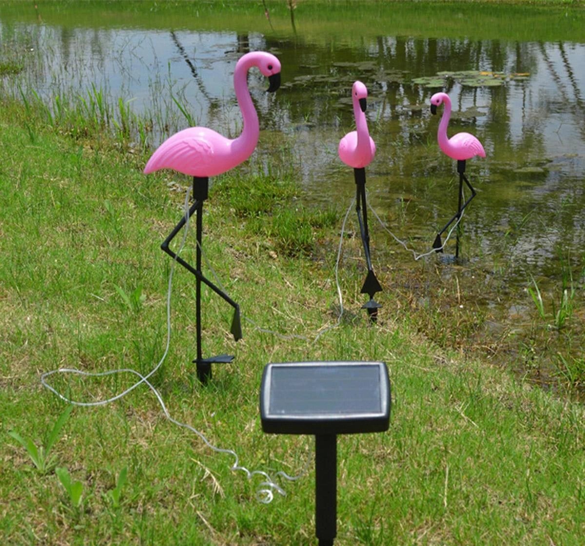 Zd50K LED saulės sodo lempos – flamingas