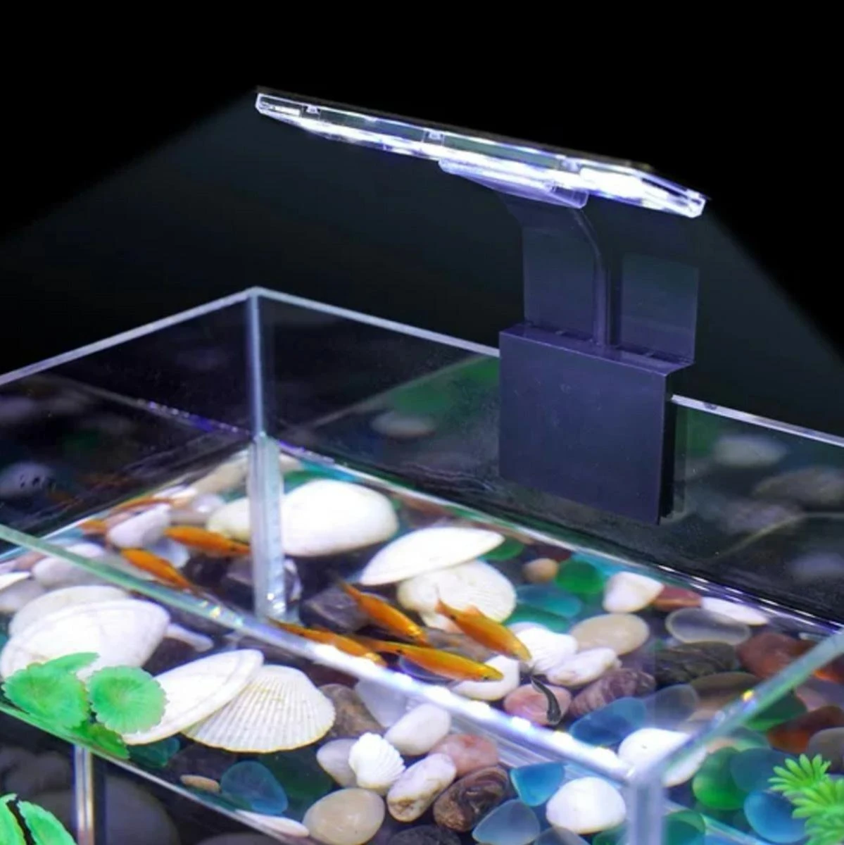 Zd80 LED akvariumo lempa 5W