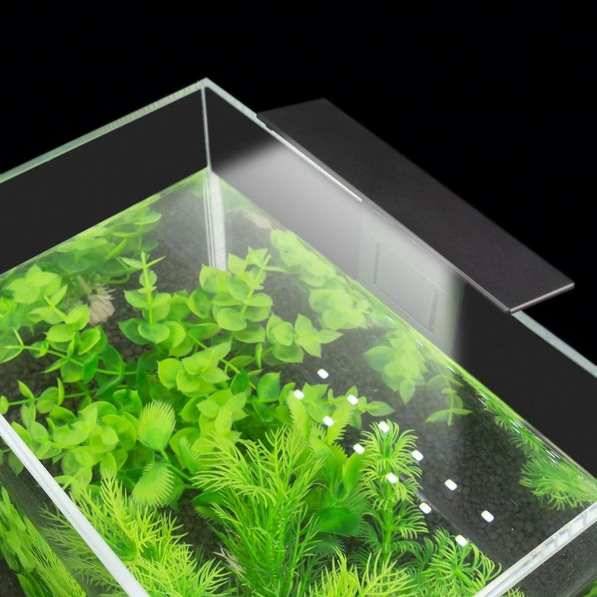 Zd80 LED akvariumo lempa 5W