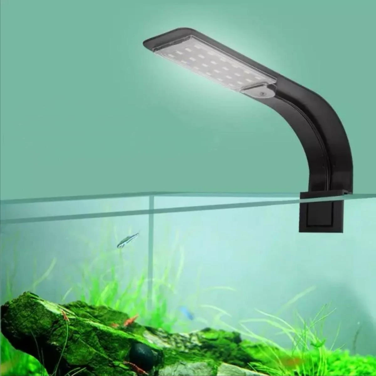 Zd80A LED akvariumo lempa 10W