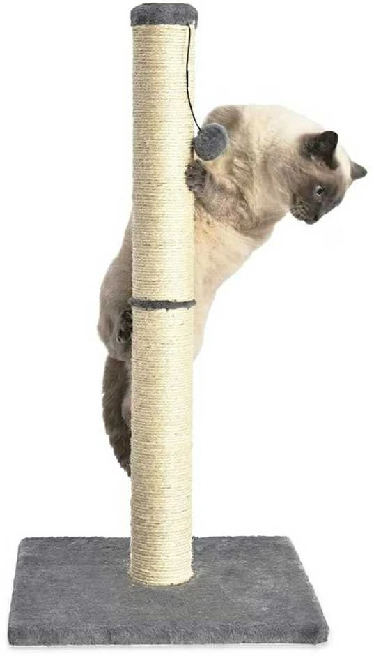 Aptel Draskyklė Katinams 100 cm