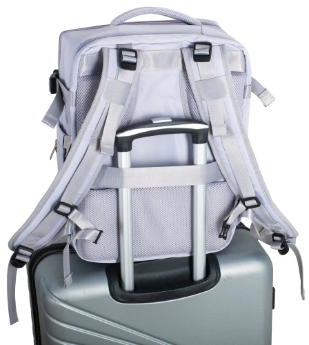 Camry CR 6880 light violetinė Kuprinė biznesowo-sportowy on-board free size 40x20x30 cm, 24l, 3 komory, 11 kieszeni, laptop 17