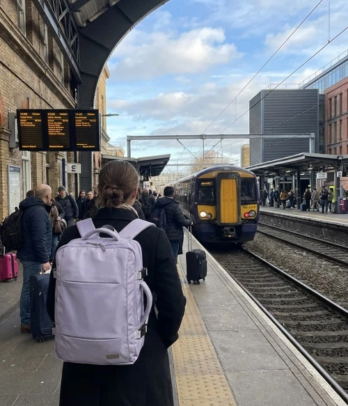 Camry CR 6881 light violetinė Kuprinė biznesowo-sportowy on-board free size 40x20x30 cm, 24l, 3 komory, 13 kieszeni, laptop 15,6 cali