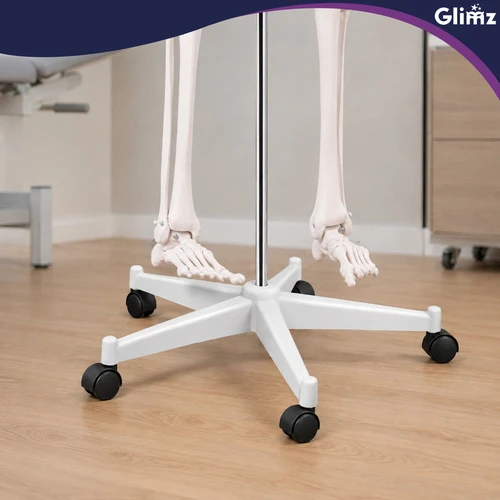 Dantų šepetėlis Szkielet człowieka- 170cm Glimz
