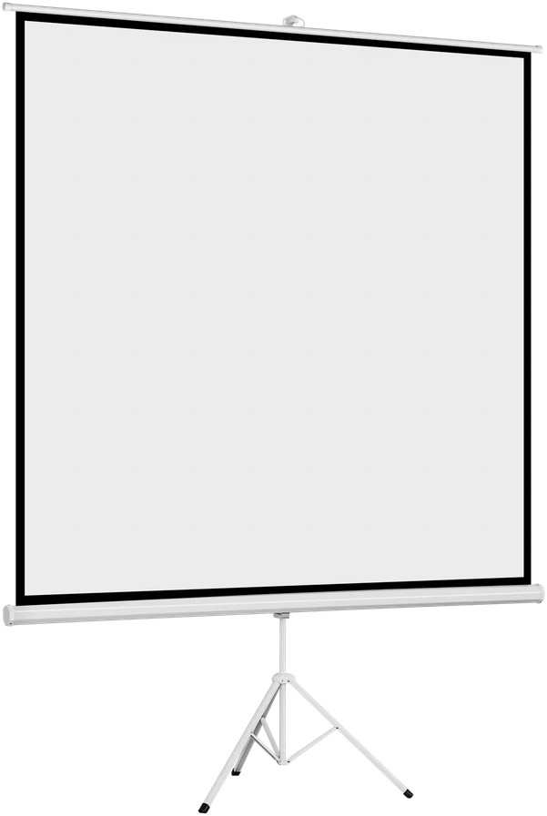 Projektorius Cabletech pastatomas projekcinis ekranas 200x200cm 100"
