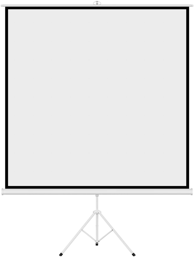 Projektorius Cabletech pastatomas projekcinis ekranas 200x200cm 100"