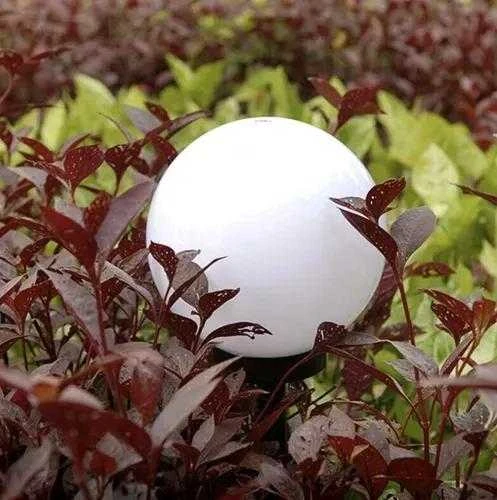 Gardlov Saulės sodo šviestuvas - rutulinis, rinkinyje 6 vnt. 23562