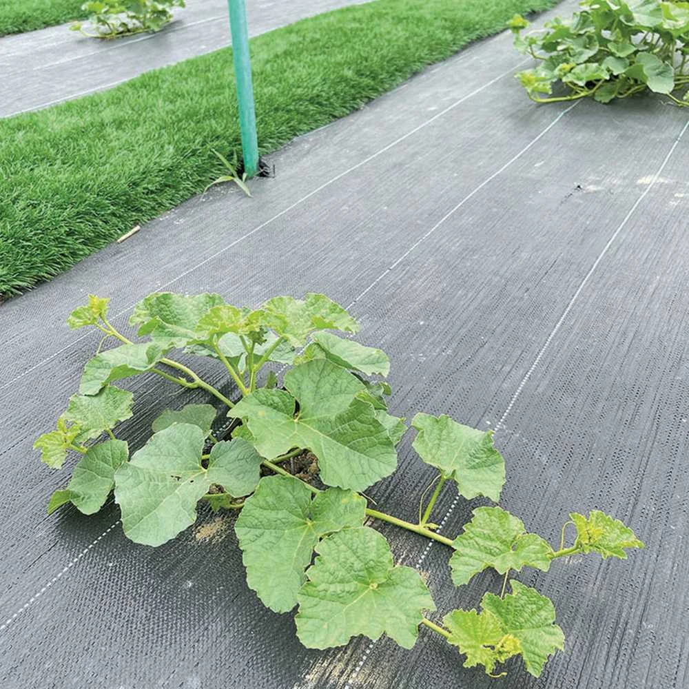 FLORALAND GREENMILL AGROPLĖVELĖ 1,0 x 10 m 100 g/m2 JUODA…