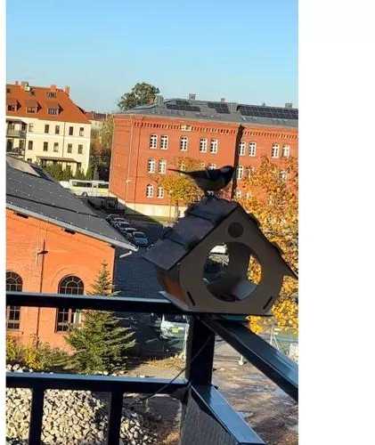 Paukščių lesykla Maaleo 22585