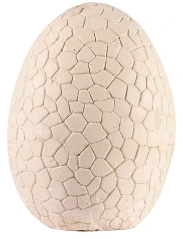 Kruzzel Jajo dinozaura - wykopaliska 24981
