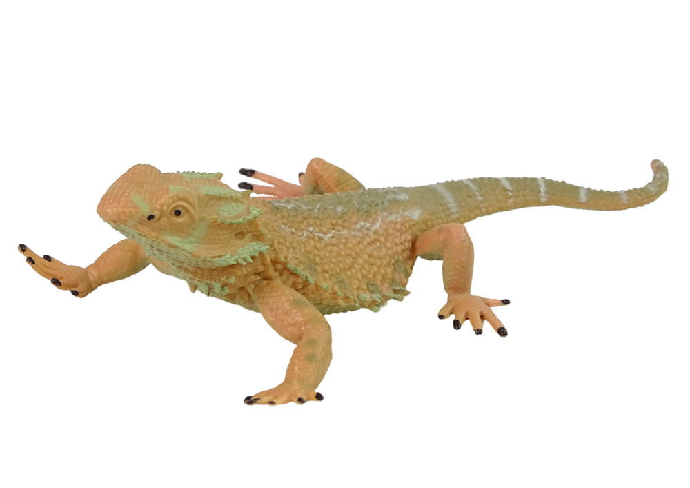 Lean Toys Figūrėlė Agama driežas LeanToys
