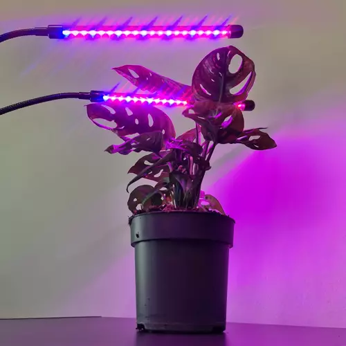 Lempa 20 LED 2 vnt. Gardlovo augalu auginimui 19241 m