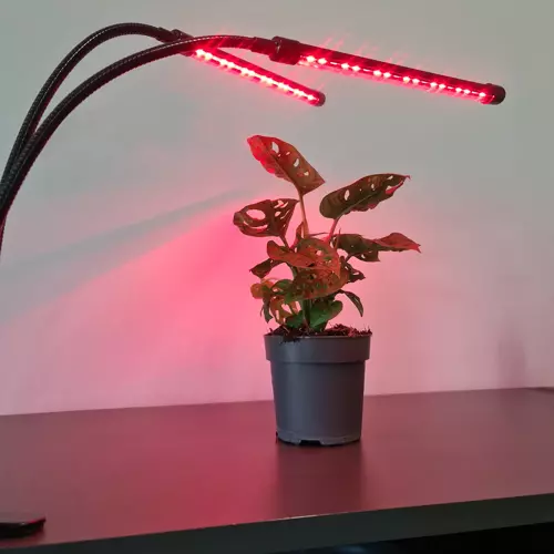 Lempa 20 LED 2 vnt. Gardlovo augalu auginimui 19241 m