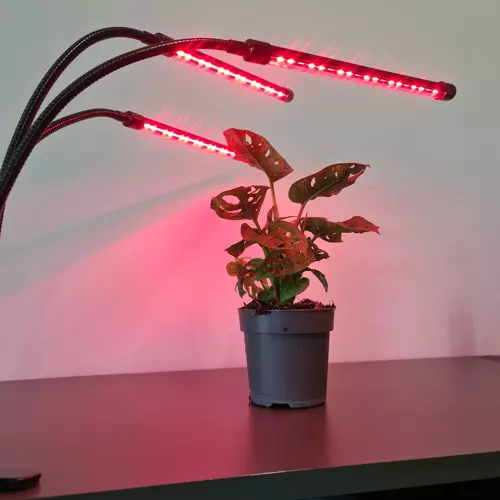 Gardlov 2x LED Lempa augalų auginimui - 2 vnt.