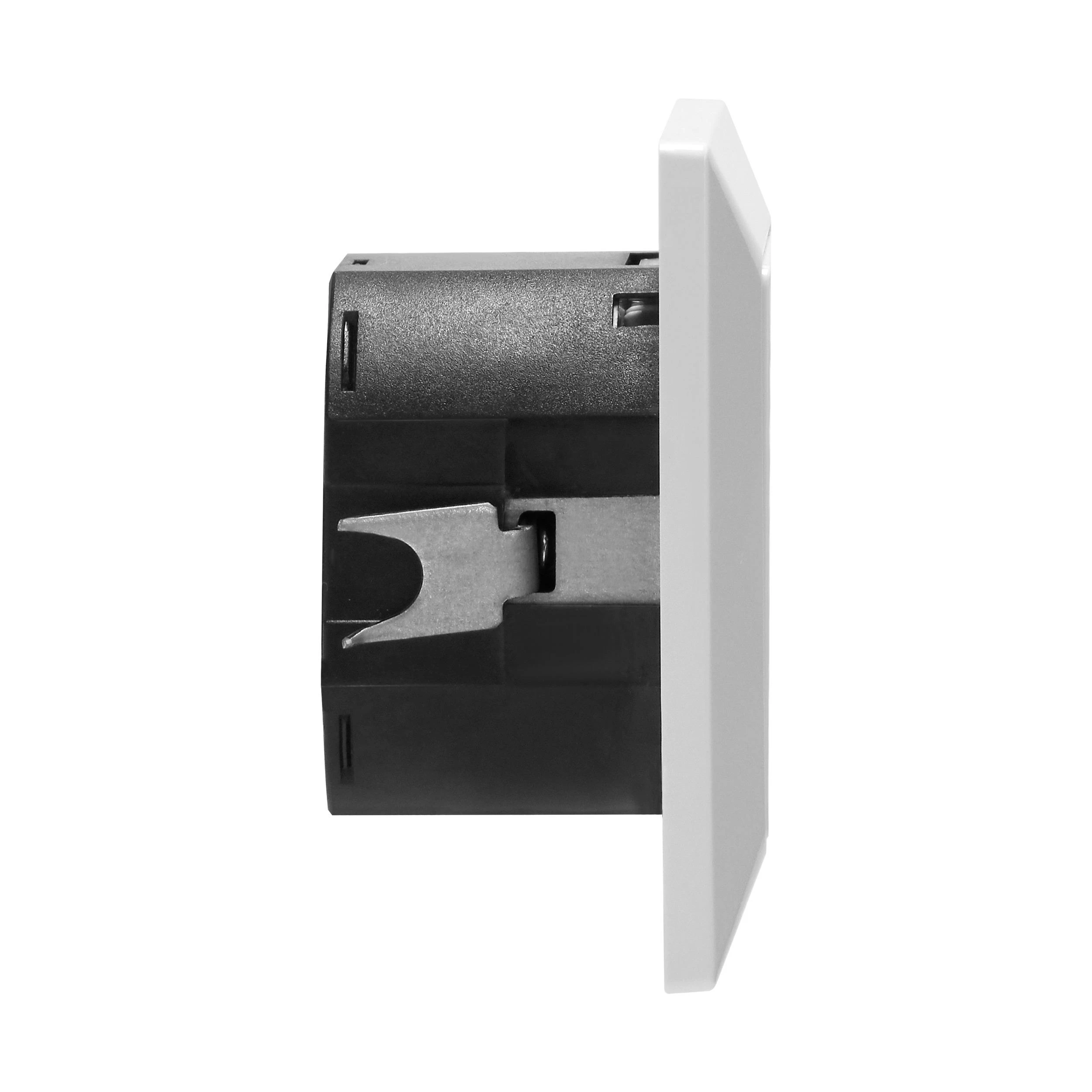 Orno Viengubas elektros lizdas 2P+Z (Schuko) su USB-A ir USB-C jungtimis