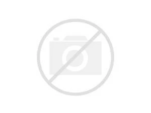 Igepa popieriaus kopijavimo aparatas biurui Maestro Standard Plus B klasė 94918A80 (A4; 80g/m2; 500 lapų; baltas, matinis popierius)