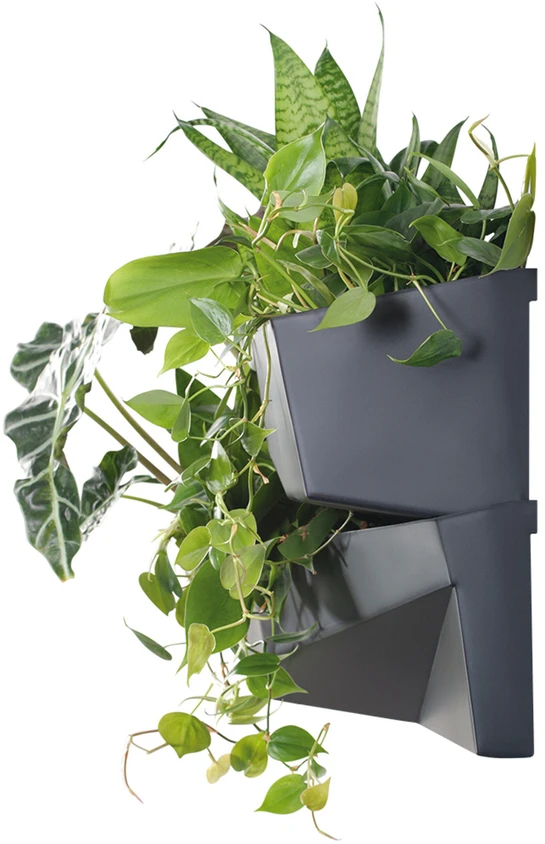 Prosperplast <div class="int_ce_html">Kaskados sodo siena</div>