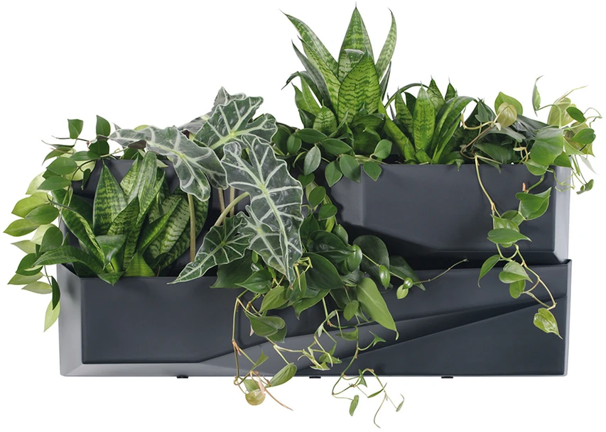 Prosperplast <div class="int_ce_html">Kaskados sodo siena</div>