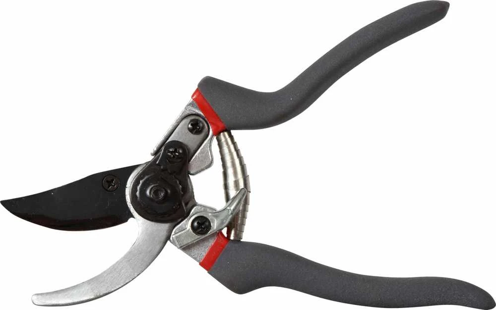 Sekator Sodo žirklės 225 mm, pjovimo plotis 19 mm, teflono prolinas
