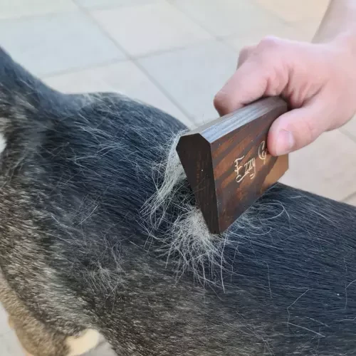 Ezzygroom Ezzy Groom šiurkštūs plaukai