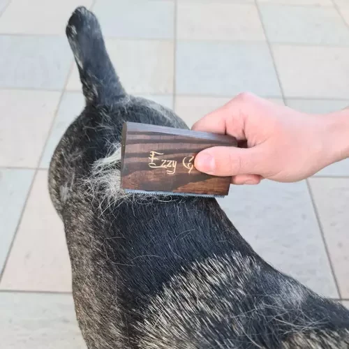 Ezzygroom Ezzy Groom šiurkštūs plaukai