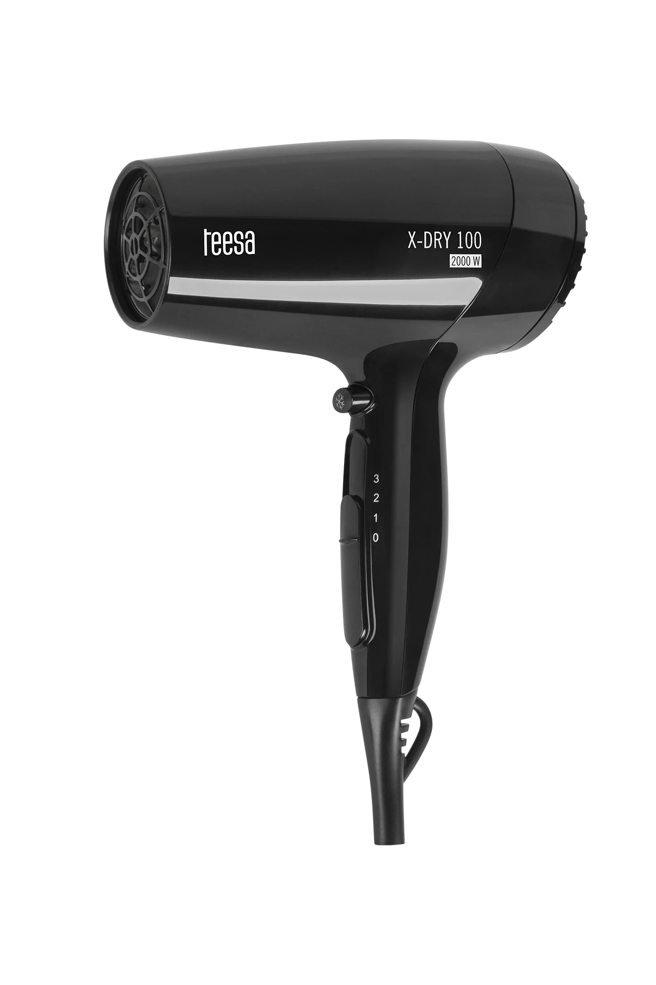 Teesa X-DRY 100 2000W plaukų džiovintuvas