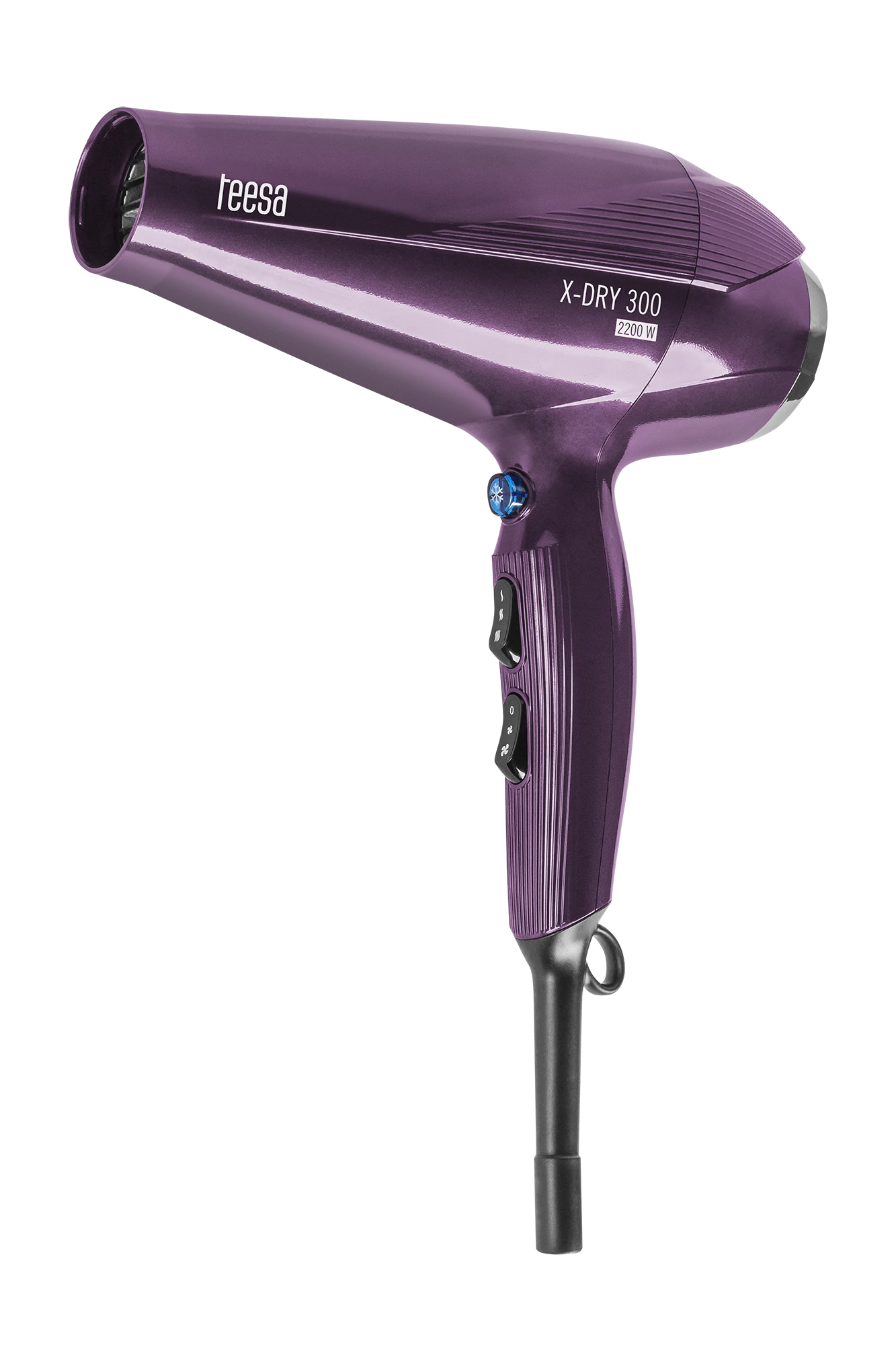 Teesa X-DRY 300 2200W plaukų džiovintuvas
